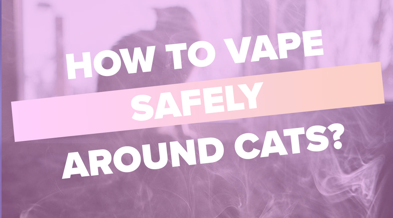 How to Vape Safely Around Cats: Tips for a Pet-Friendly Vaping Experience