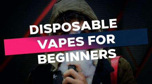 Disposable Vapes For Beginners